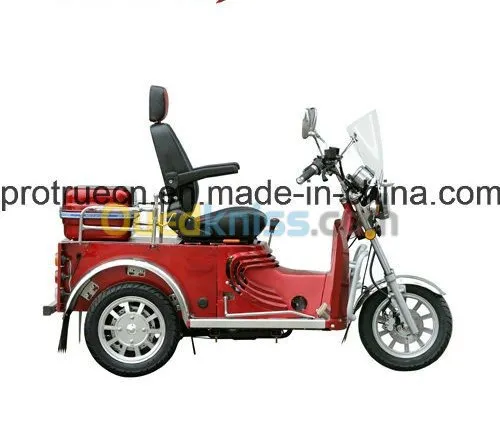 TRICYCLE A MOTEUR