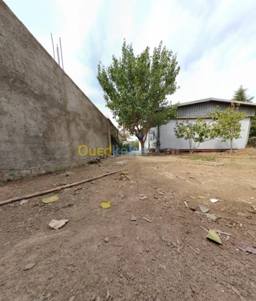 Vente Terrain Chlef Tenes