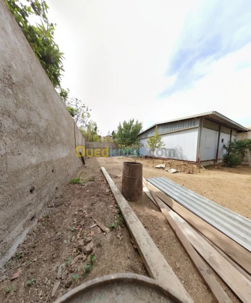 Vente Terrain Chlef Tenes