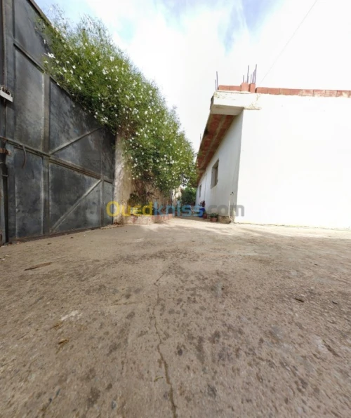 Vente Terrain Chlef Tenes