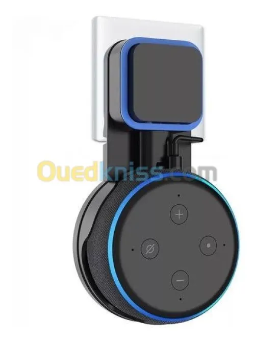 Amazon  alexa