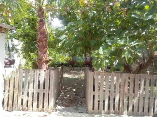 Vente Villa Blida Ouled selama