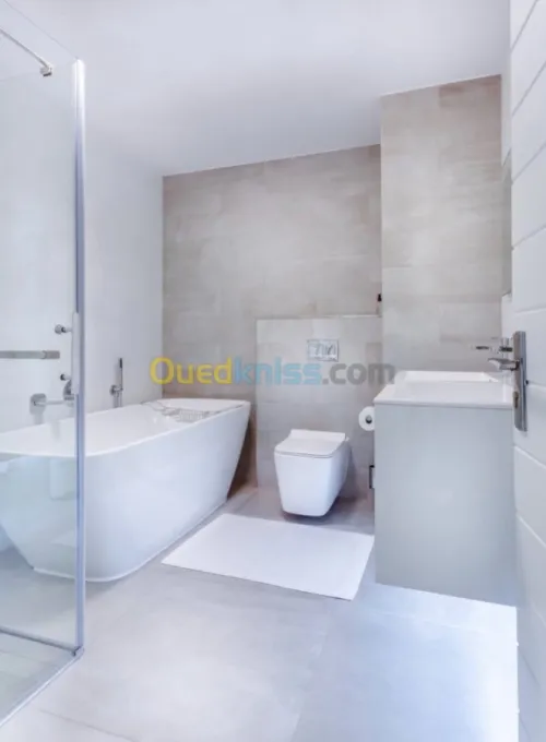 Vente Appartement Alger Dely brahim