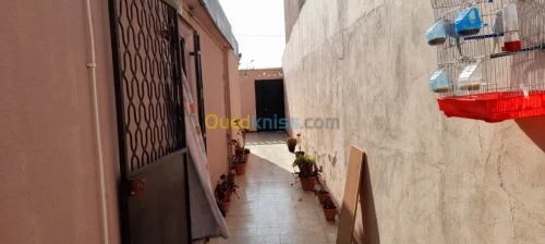 Vente bien immobilier Oran Ain el bia