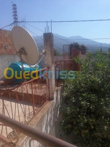 Vente Villa Blida Bouarfa