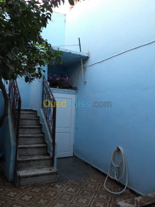 Vente Villa Blida Bouarfa
