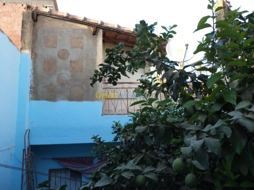 Vente Villa Blida Bouarfa