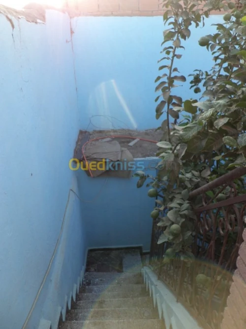 Vente Villa Blida Bouarfa