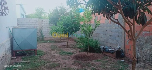 Vente Villa El taref El kala