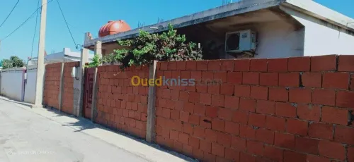 Vente Villa El taref El kala