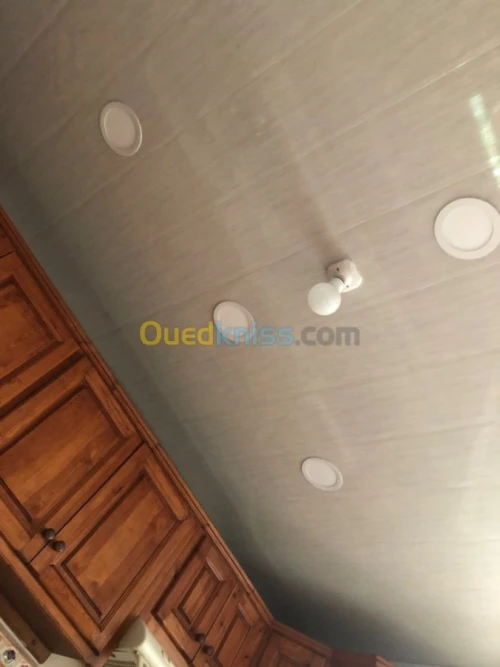 Placo plâtre ba13 pvc Pinture gerflex 