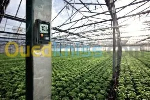 Mini-enregistreur d’humidité testo174H