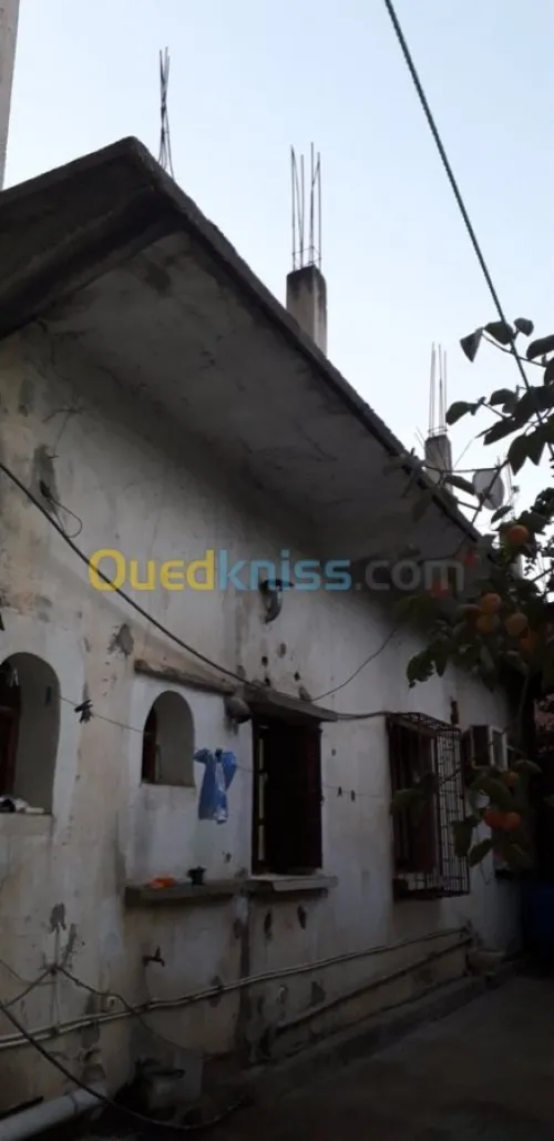 Vente Villa Boumerdes Hammedi