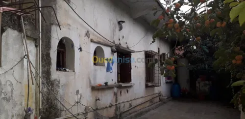 Vente Villa Boumerdes Hammedi