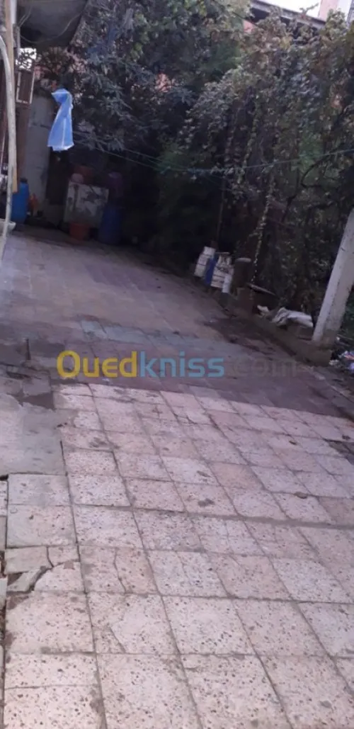 Vente Villa Boumerdes Hammedi