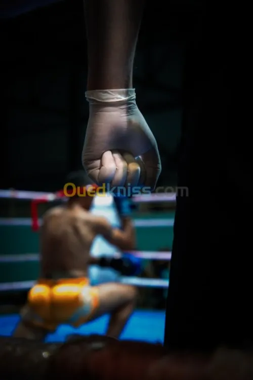 Photographe professionnel & filmmaker 