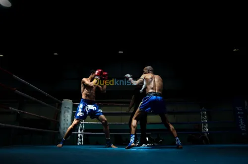Photographe professionnel & filmmaker 