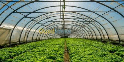 BROYEUR D'ALIMENT&serres agricole