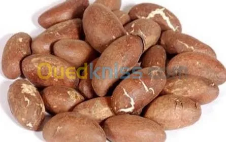 Petit cola (noix) BIO جوز الكولا عضوي