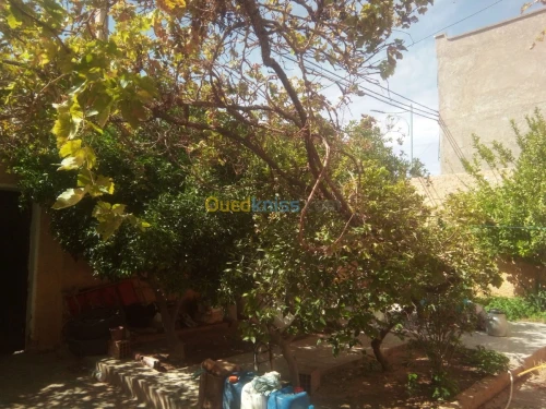 Vente Appartement F3 Ghardaia El menia
