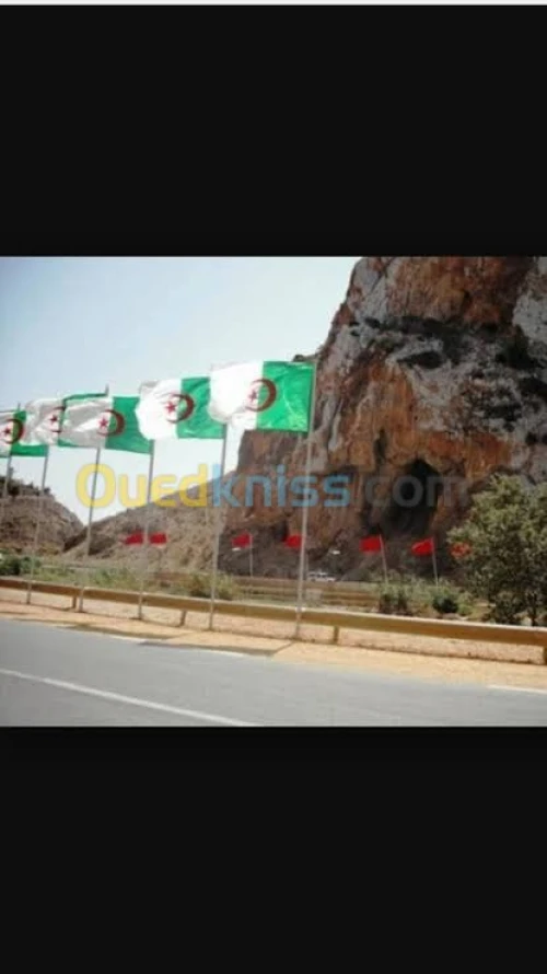 Vente Terrain Tlemcen Marsa ben mhidi