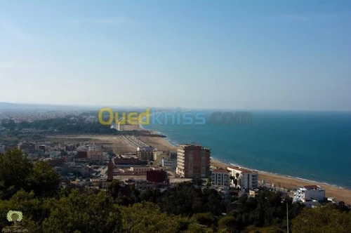Vente Terrain Tlemcen Marsa ben mhidi