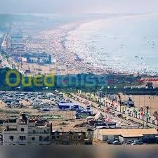 Vente Terrain Tlemcen Marsa ben mhidi