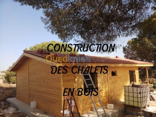 Construction Des chalets et travaux en tuiles