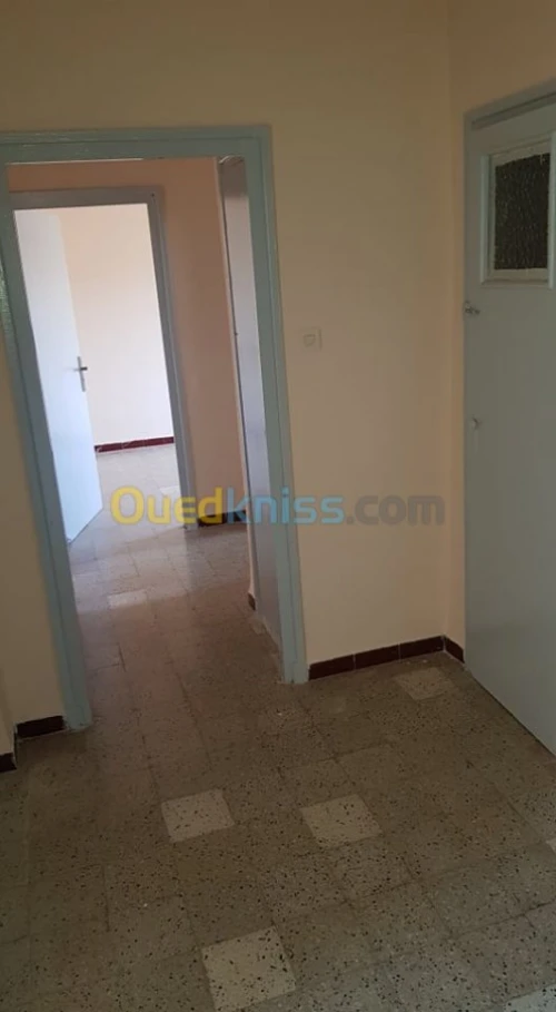 Location Appartement F3 Oran Oran