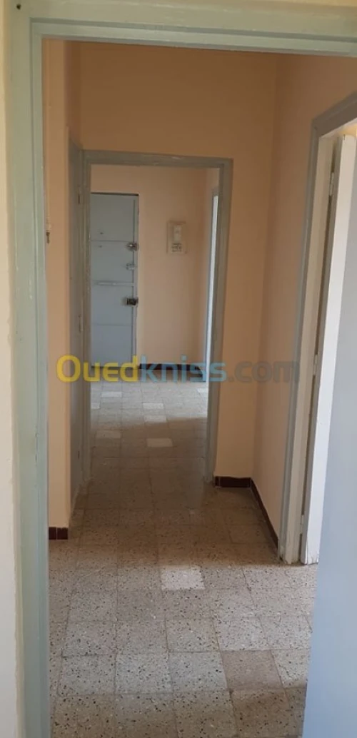 Location Appartement F3 Oran Oran