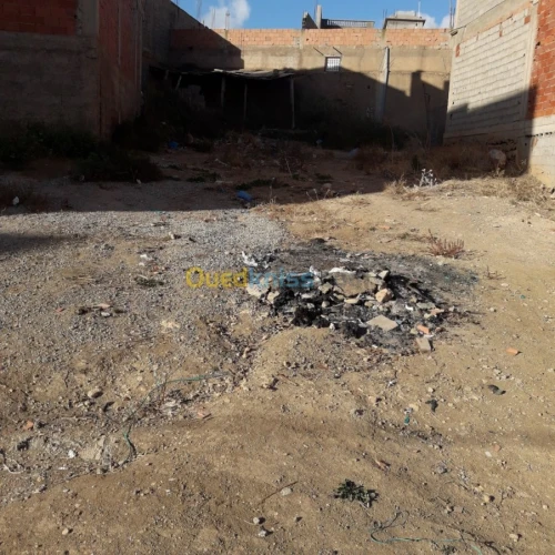 Vente Terrain Tlemcen Fellaoucene