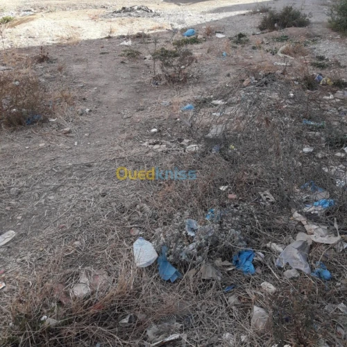 Vente Terrain Tlemcen Fellaoucene