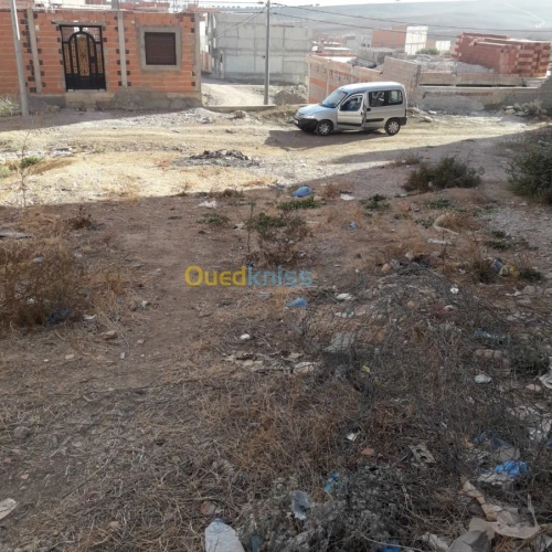 Vente Terrain Tlemcen Fellaoucene
