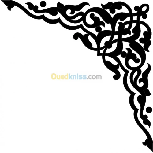 تحويل الصورة الى فيكتور 