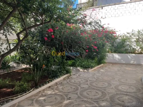 Location Villa Alger Hydra