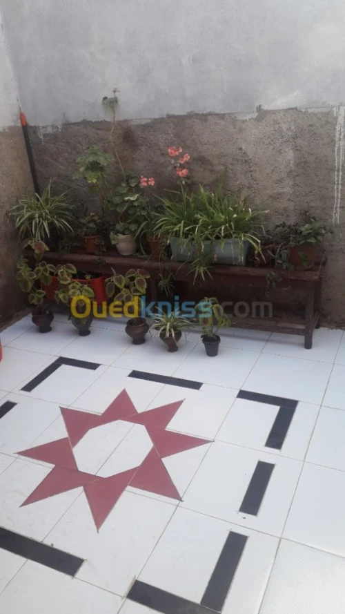 Vente Villa Tlemcen Mansourah