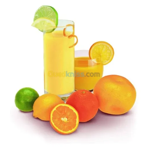 MOULINEX Presse Agrumes Pc300B10 -25W- Capacité 0,6L-Blanc/Gris Foncé