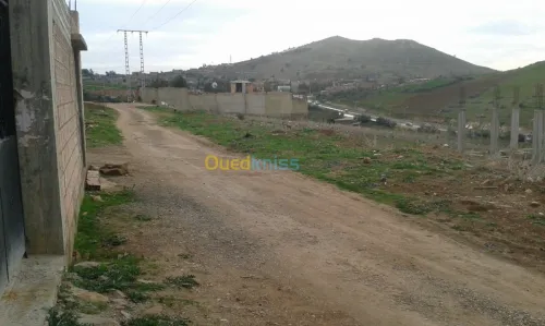 Vente Niveau De Villa F3 Ain defla Ain defla