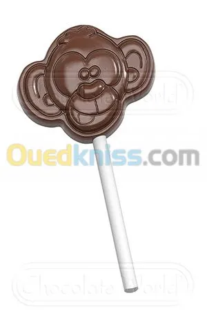Tempereuse Chocolat +Moule chocolat + 