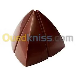 Tempereuse Chocolat +Moule chocolat + 