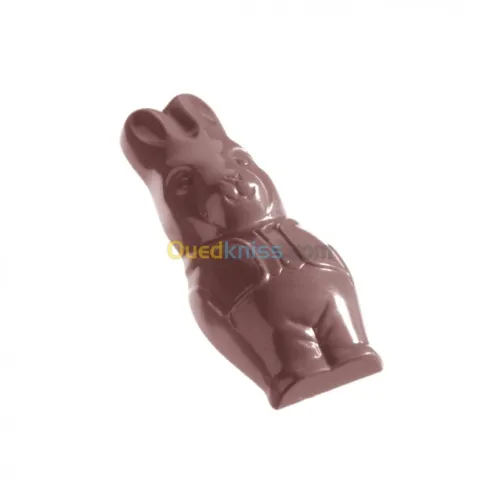 Tempereuse Chocolat +Moule chocolat + 
