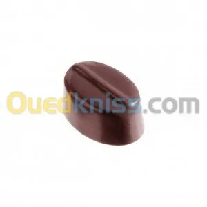 Tempereuse Chocolat +Moule chocolat + 