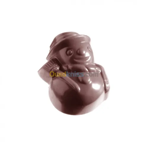 Tempereuse Chocolat +Moule chocolat + 
