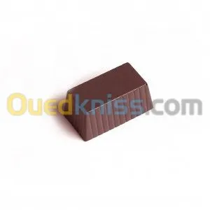 Tempereuse Chocolat +Moule chocolat + 