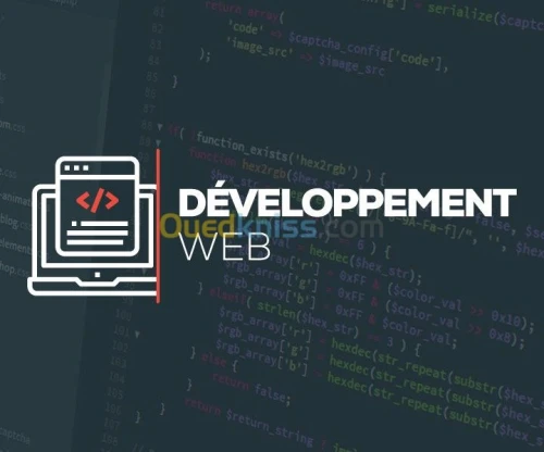 Développement  de site Web 