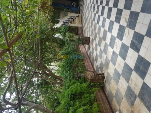 Vente Niveau De Villa F10 Chlef Chlef
