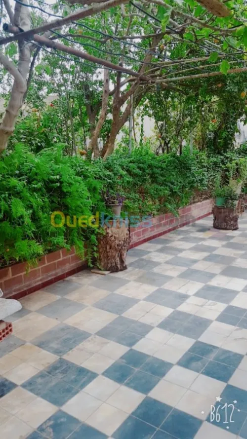 Vente Niveau De Villa F10 Chlef Chlef