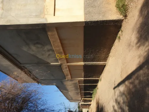 Vente Niveau De Villa F10 Chlef Chlef