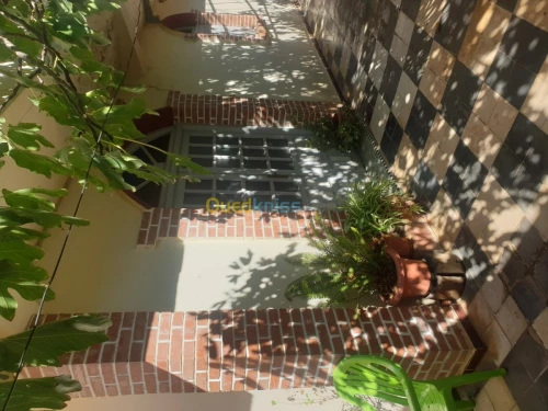 Vente Niveau De Villa F10 Chlef Chlef