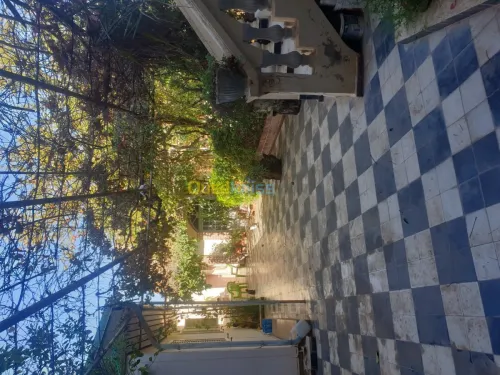 Vente Niveau De Villa F10 Chlef Chlef
